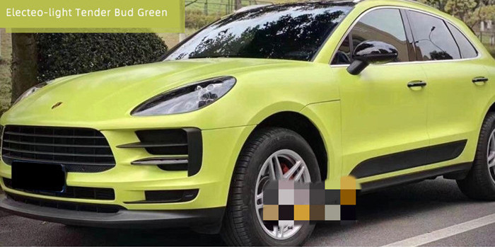 Esparadrapo acrílico removível do espaço livre de Swipeable 60µM Light Bud Green Car Vinyl Wrap do ANIMAL DE ESTIMAÇÃO
