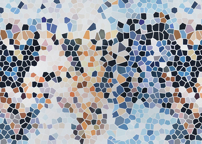 A diversidade coloriu o filme de vidro decorativo manchado privacidade 1.22Mx50M da janela
